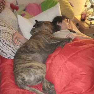 Meet your Posher, Jenny